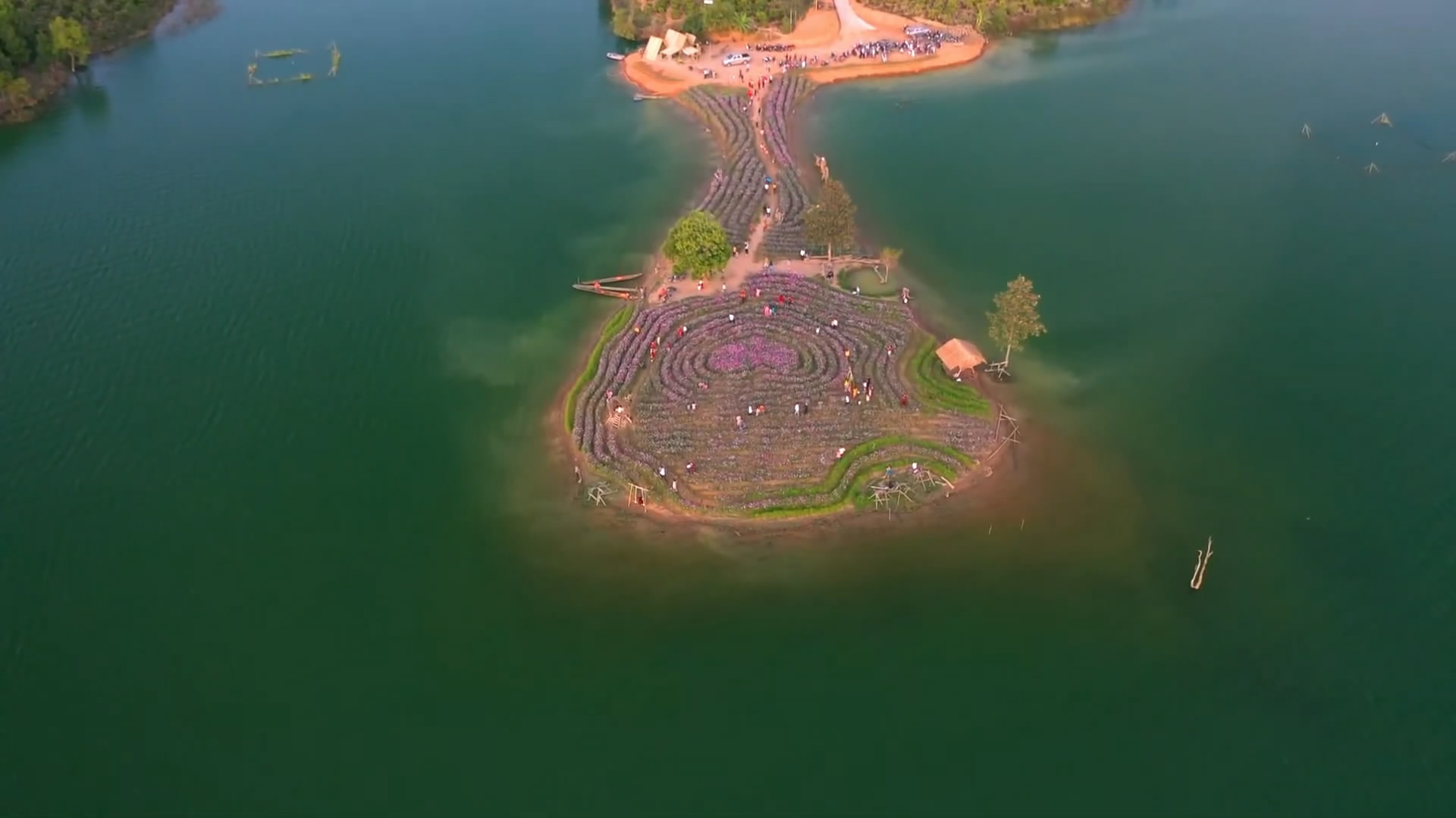 Thưởng thức trọn vẹn vẻ đẹp của đảo hoa Kon Trang Long Loi tại Kon Tum