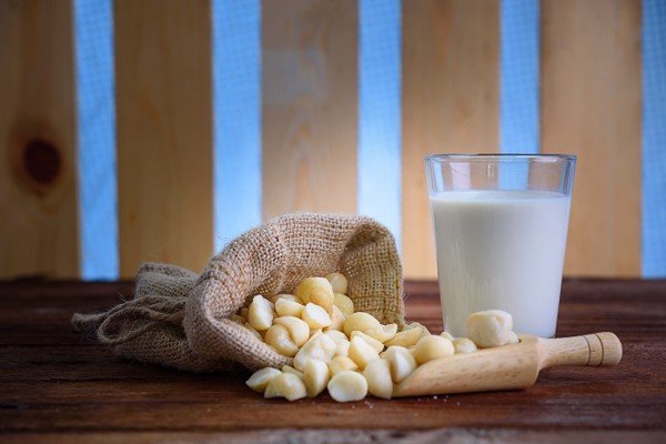 Cách bảo quản món sữa Macca