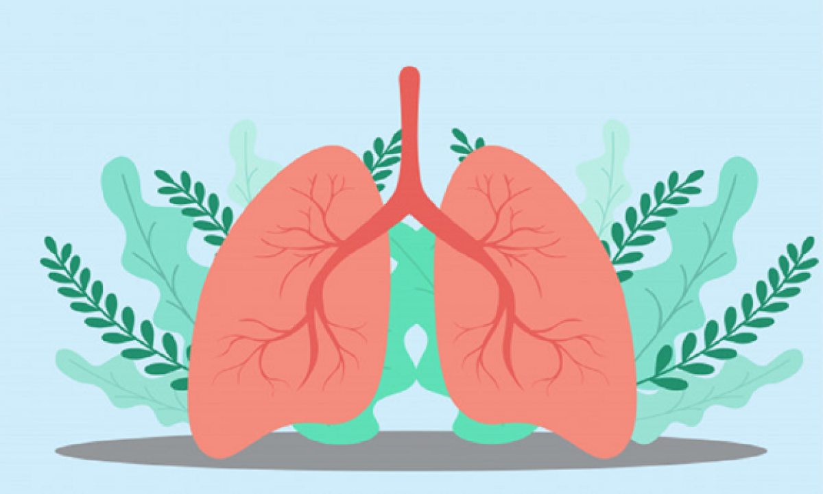 Mỗi người nên trang bị biện pháp làm sạch phổi đơn giản để nâng cao chất lượng sức khoẻ